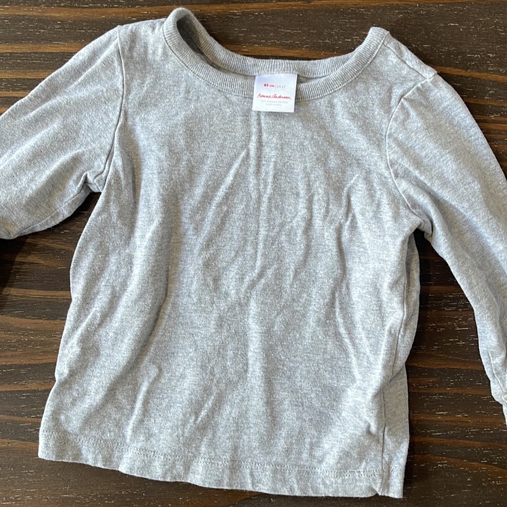 Hanna Andersson grey shirt